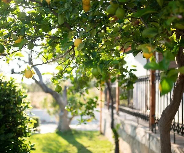 Villa Garden Private *